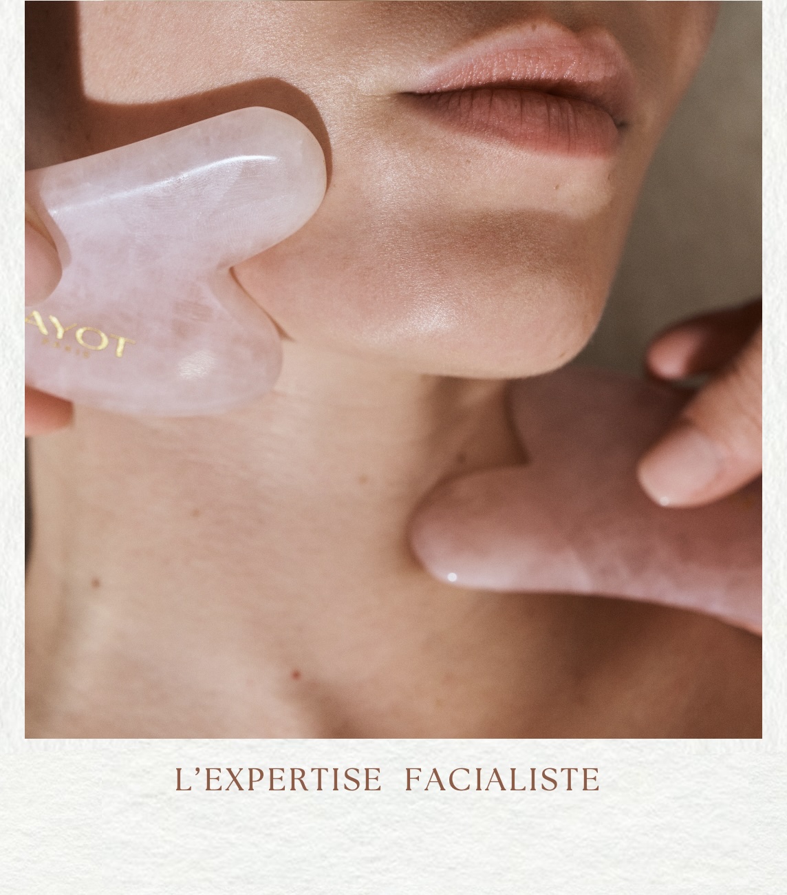 L’EXPERTISE FACIALISTE image